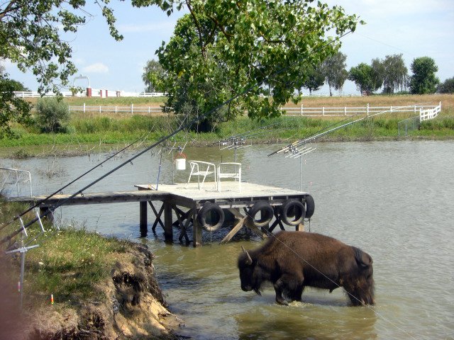 Southfork Ranch Ungarn