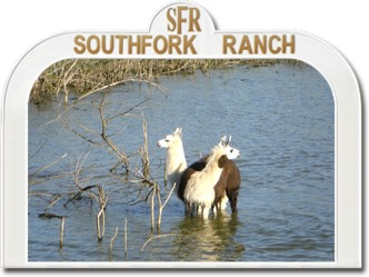 Southfork Ranch Ungarn