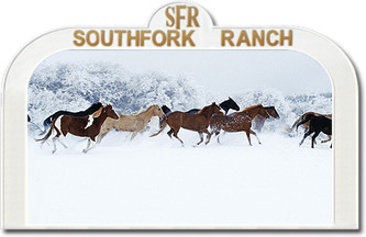 Southfork Ranch Ungarn