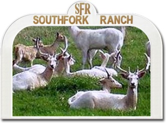 Southfork Ranch Ungarn